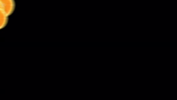 Переходная Анимация Фруктовых Ломтиков Апельсина Прозрачном Фоне — стоковое видео