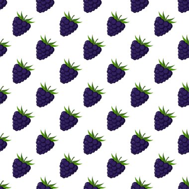 beyaz arka plan üzerinde böğürtlen dikişsiz desen.