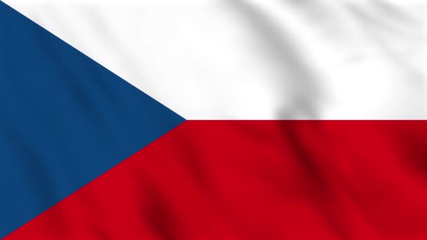 Animacja Tła Falistej Flagi Republiki Czeskiej — Wideo stockowe