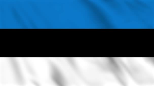 Циклическая Фоновая Анимация Размахивающего Флагом Эстонии — стоковое видео