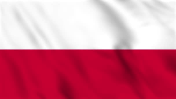 Looped Animation Φόντο Της Κυματίζει Σημαία Της Πολωνίας — Αρχείο Βίντεο