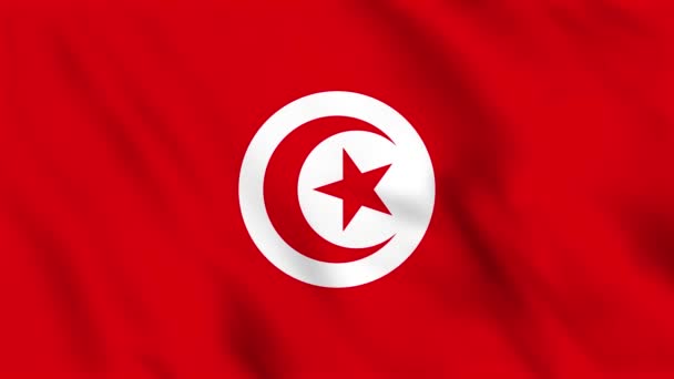 チュニジアの波の旗のループバックアニメーション — ストック動画