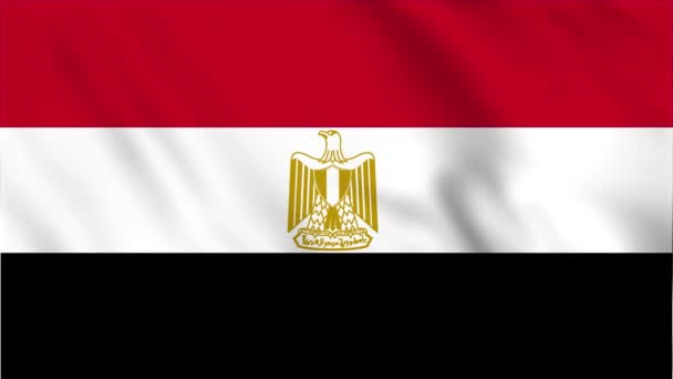 Animação Fundo Loop Bandeira Ondulante Egito — Vídeo de Stock