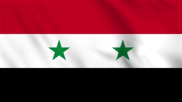シリアの波の旗のループバックアニメーション — ストック動画