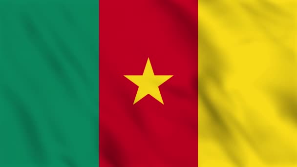 Animace Pozadí Smyčky Vlajky Kamerunu — Stock video