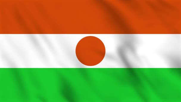 니제르의 깃발의 애니메이션 — 비디오