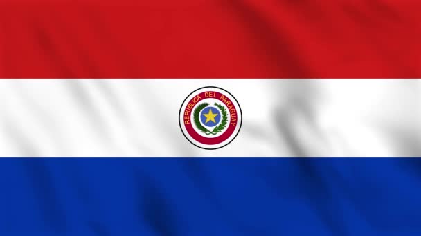 Looped Background Animation Waving Flag Paraguay — Stock Video