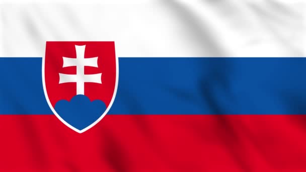 スロバキアの波の旗のループバックアニメーション — ストック動画