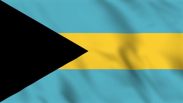 Animação Fundo Loop Bandeira Ondulante Das Bahamas — Vídeo de Stock