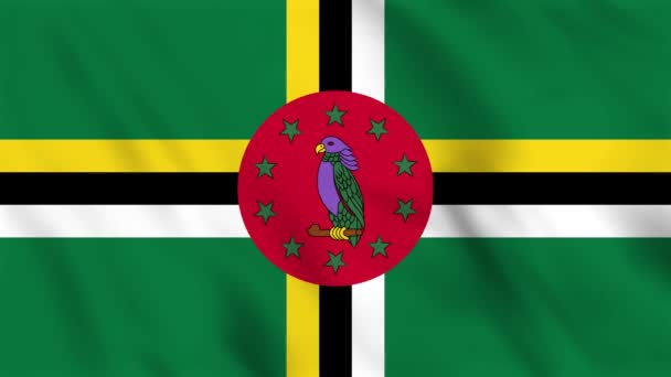 ドミニカの波の旗のループバックアニメーション — ストック動画