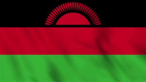 Looped Background Animation Waving Flag Malawi — Stock Video