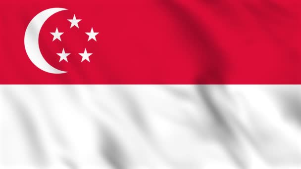 Циклическая Фоновая Анимация Размахивающего Флагом Сингапура — стоковое видео