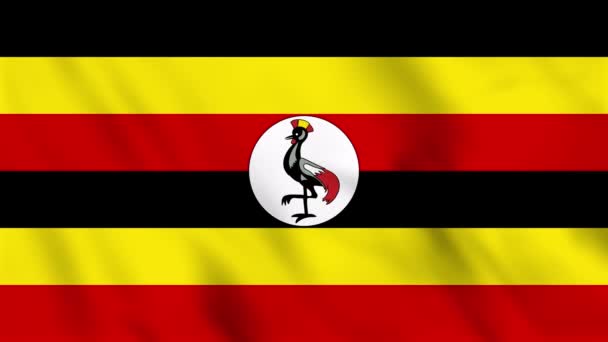 Animace Smyčky Pozadí Vlnící Vlajky Ugandy — Stock video