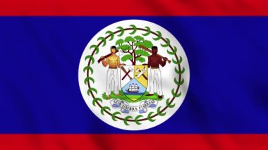 Belize bayrağının sallanan arka plan canlandırması