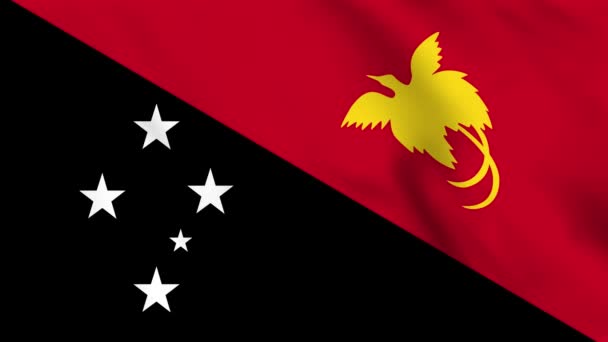 パプアニューギニアの波の旗のループバックアニメーション — ストック動画