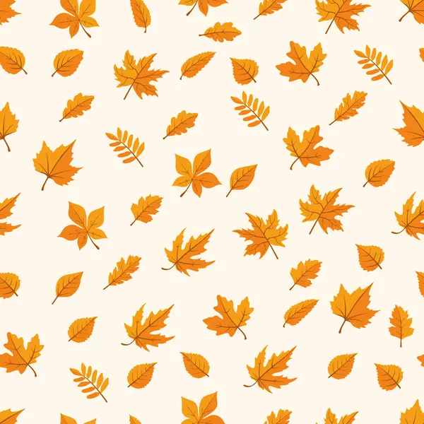 Sonbahar ormanları pürüzsüz izler bırakır.