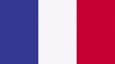 Düz bir bayrak olan 2D Fransa 'nın görünüp kayboluşunun animasyonu