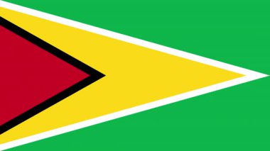 Düz bir bayrak olan 2D Guyana 'nın görünüp kayboluşunun animasyonu