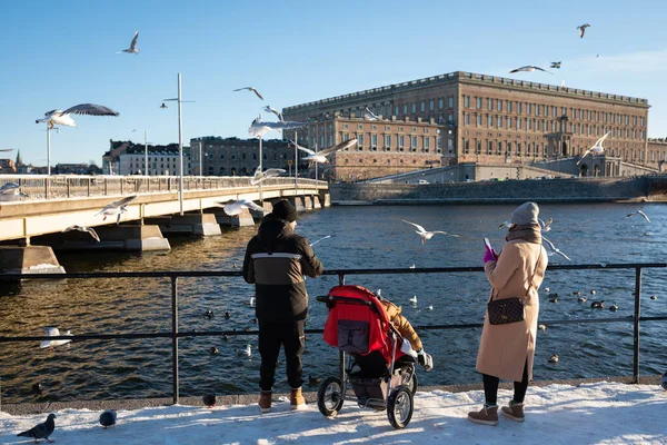 Stoccolma Svezia Marzo 2023 Uccelli Con Palazzo Reale Sullo Sfondo — Foto Stock
