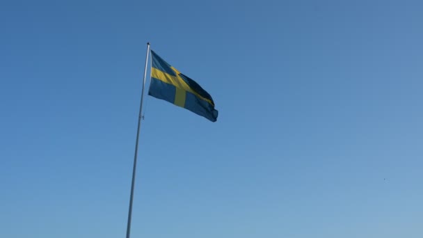 Bandeira Sueca Acenando Vento Conceito Patriotismo Sueco Céu Limpo — Vídeo de Stock