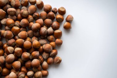 Fındık, fındık, fındık. 