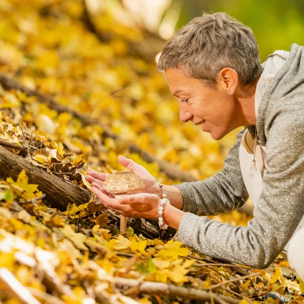 Frau Sammelt Essbare Pilze Wald — Stockfoto