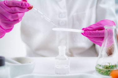 Oil Dripping Fragrance on Perfume Test Paper in the Lab. 