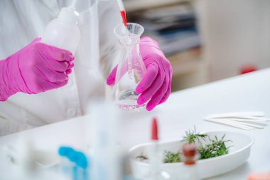 Fragrance Laboratory Analysis. Aromacology. Female Aromacology Expert Preparing Ingredients for Fragrances.  