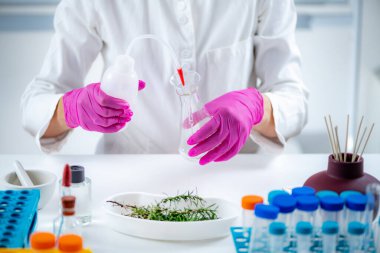 Fragrance Laboratory Analysis. Aromacology. Female Aromacology Expert Preparing Ingredients for Fragrances.  