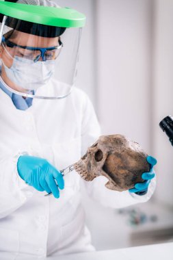 Antik DNA analizi. Antik DNA laboratuvarında örnek li mikro tüp tutan kadın bilim adamı.