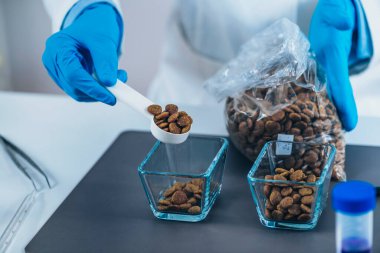 Hayvan Gıda Kalite Kontrolü. Laboratuvarda Test İçin Kuru Köpek Yemeği Örnekleri Hazırlama