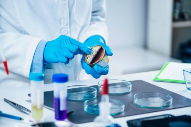 Mikrobiyolog laboratuvarda kalite kontrol testi için konserve hayvan maması örneği hazırlıyor.. 