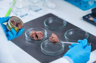 Mikrobiyolog laboratuvarda kalite kontrol testi için konserve hayvan maması örneği hazırlıyor.. 