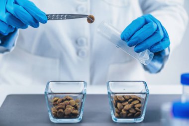 Hayvan Gıda Kalite Kontrolü. Laboratuvarda Test İçin Kuru Köpek Yemeği Örnekleri Hazırlama