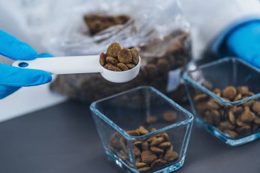 Hayvan Gıda Kalite Kontrolü. Laboratuvarda Test İçin Kuru Köpek Yemeği Örnekleri Hazırlama