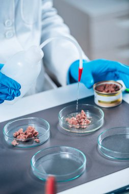 Mikrobiyolog laboratuvarda kalite kontrol testi için konserve hayvan maması örneği hazırlıyor.. 