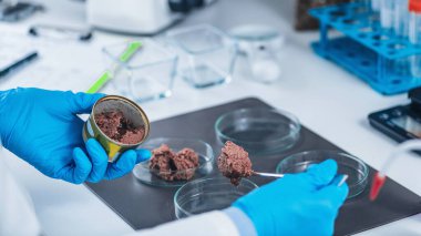 Mikrobiyolog laboratuvarda kalite kontrol testi için konserve hayvan maması örneği hazırlıyor.. 