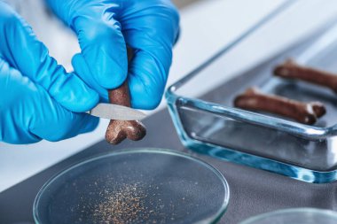 Laboratuvarda evcil hayvan gıda kalite kontrolü için köpek bisküvisi hazırlama