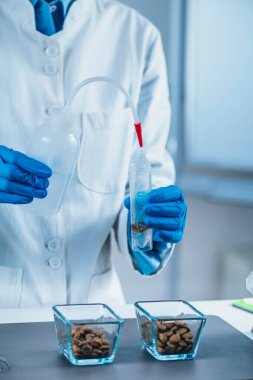 Hayvan Gıda Test Laboratuvarı. Mikrobiyolog, Test Tüpü 'ne kurutulmuş hayvansal gıdayla su döküyor.