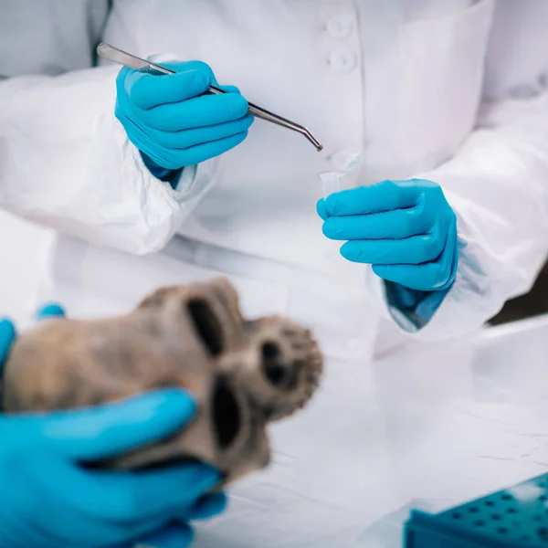 Bioarcheology Young Female Archaeologist Analyzing Human Skull Ancient Dna Laboratory — Stock Photo, Image