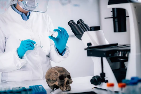 Unga Kvinnliga Bioarkeolog Analysera Humant Osteologiska Material Ett Laboratorium — Stockfoto
