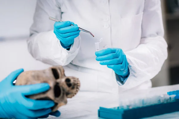 生物考古学古代Dna研究室で人間の頭蓋骨を分析する若い女性考古学者 — ストック写真