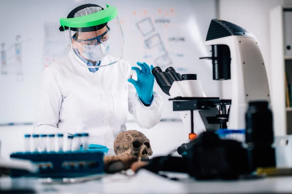 Jeune Bioarchéologue Femme Analysant Matériel Ostéologique Humain Dans Laboratoire — Photo