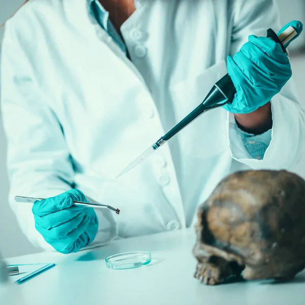 Criminalistique Labo Scientifique Légiste Examinant Crâne Avec Des Preuves — Photo