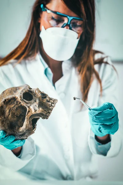 Forensic Science in Lab. Forensic Scientist examining skull with evidences
