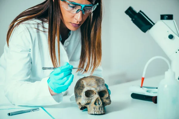 Ciencias Forenses Laboratorio Científico Forense Examinando Cráneo Con Evidencias —  Fotos de Stock