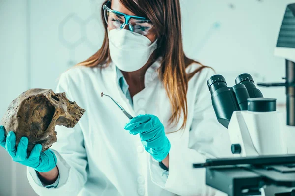 Scienze Forensi Laboratorio Scienziato Forense Che Esamina Cranio Con Prove — Foto Stock