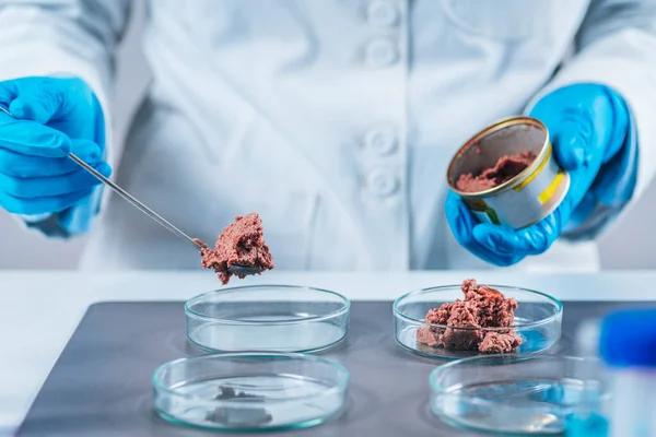 実験室での品質管理試験のためのペットフードの缶詰のサンプルを準備する微生物学者 — ストック写真