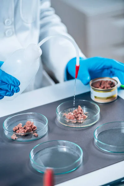 Microbiólogo Preparando Muestra Alimentos Enlatados Para Mascotas Para Prueba Control — Foto de Stock