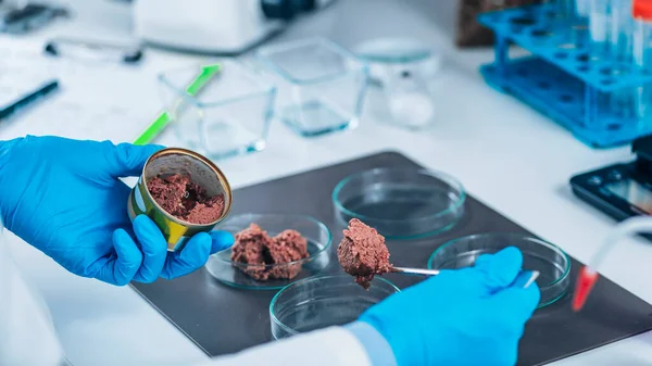 Mikrobiologi Mempersiapkan Sampel Makanan Hewan Peliharaan Kalengan Untuk Tes Kualitas — Stok Foto